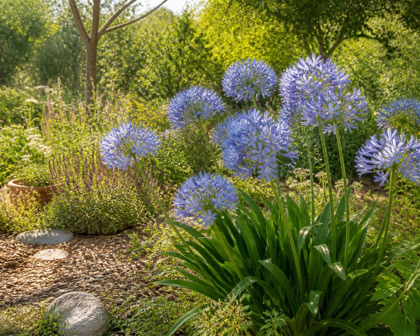 découvrez comment intégrer l'agapanthe, une fleur élégante et durable, dans votre jardin écologique pour allier beauté et respect de l'environnement.